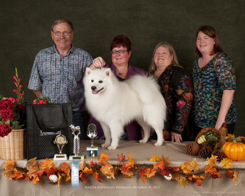 Fizz Family
